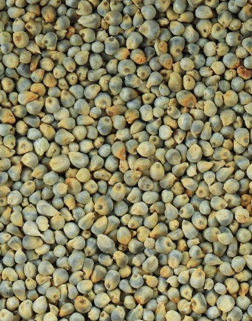 green millets